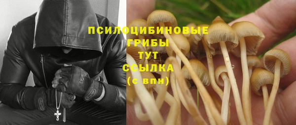скорость Богданович