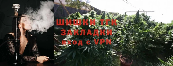 apvp Богородск